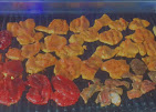 Village Pizza : image3.jpg