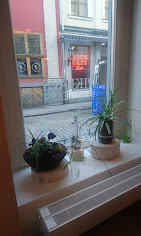Niklāvs : image-(259).jpg