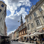 Niklāvs : image-(33).jpg