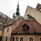 Domini Canes : image-(276).jpg