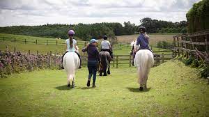 Think Like A Pony : image10.jpg