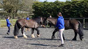 Think Like A Pony : image12.jpg