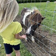 Think Like A Pony : image13.jpg
