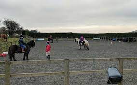 Think Like A Pony : image15.jpg