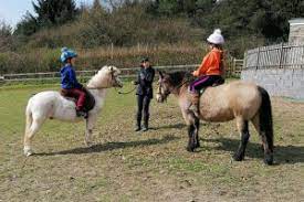 Think Like A Pony : image2.jpg