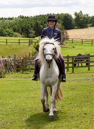 Think Like A Pony : image7.jpg