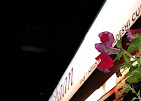 Alishaan Tandoori : image3.jpg
