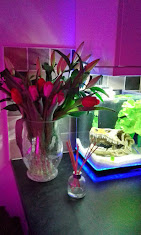 Avenue Chinese Take Away : image2.jpg