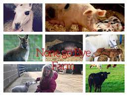 None Go Bye Farm : image12.jpg