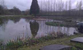None Go Bye Farm : image18.jpg