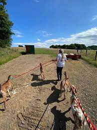 None Go Bye Farm : image7.jpg