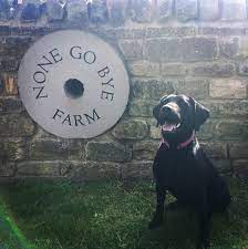 None Go Bye Farm : image8.jpg
