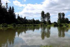 None Go Bye Farm : image9.jpg