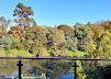 Leonda By The Yarra : image41.jpg