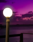 Cafe Coconut Cove : image-(123).jpg