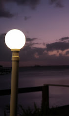 Cafe Coconut Cove : image-(124).jpg
