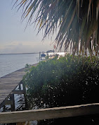 Cafe Coconut Cove : image-(31).jpg