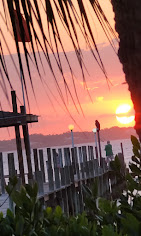 Cafe Coconut Cove : image-(4).jpg