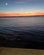 Cafe Coconut Cove : image-(46).jpg