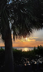 Cafe Coconut Cove : image-(63).jpg