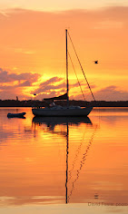 Cafe Coconut Cove : image-(66).jpg