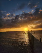 Cafe Coconut Cove : image-(92).jpg