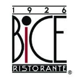 BiCE : th--0003th-idoip.jpg