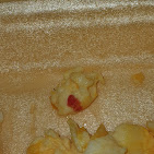 Emma's : image13.jpg