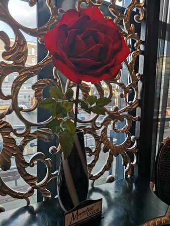 Mumtaz Leeds : image27.jpg